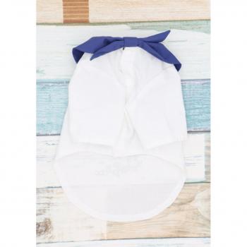Yorkshire Terrier Summer Outfit