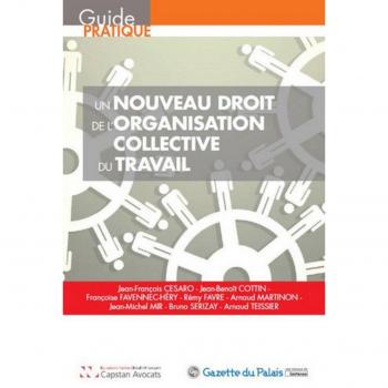 Un nouveau droit de l'organisation collective du travail