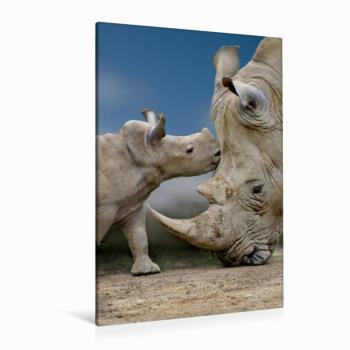 80 × 120 cm Textil-Leinwand: Nashornbaby im Hochformat, Künstler Heinz Schmidbauer