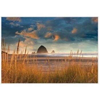 Dennis Frates Collina di Fieno a Cannon Beach Arte Incastellata