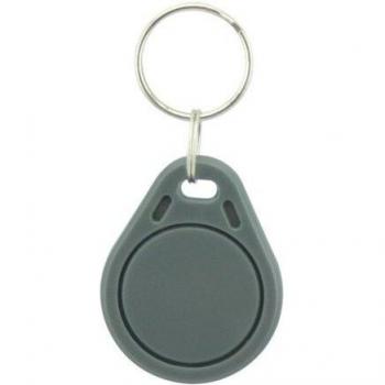 Rewritable EM4305 T5577 Proximity Token
