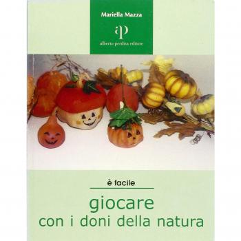 Giocare con i doni della natura. Proposte ecologiche di lavori-gioco per ragazzi e non solo