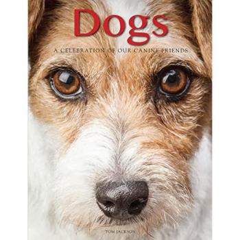 Dogs : A Celebration of Our Canine Friends, by Tom Jackson