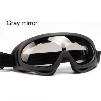 Ski and Snowboard Goggles