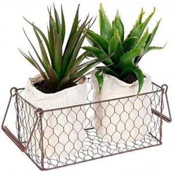 2 Plantes Aloe Vera Artificielles en Panier