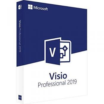 Microsoft Visio Professional 2019 Windows English 1 License Medialess