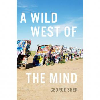 Vitalsource Technologies, Inc. A Wild West Of The Mind