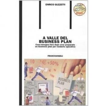 A valle del business plan. Cosa bisogna fare dopo aver preparato un business plan per renderlo operativo. Con CD-ROM
