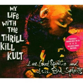 My Life With the Thrill Kill Kult