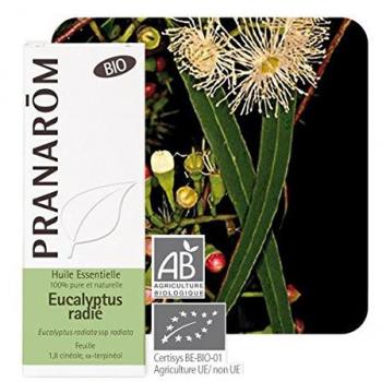 Eucalyptus Radiata Essential Oil 100 ml Organic
