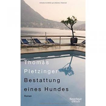 Thomas Pletzinger Bestattung Eines Hundes: Roman