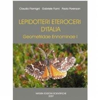 Lepidotteri Eteroceri d'Italia Geometridae Ennominae. Ediz. illustrata: 1