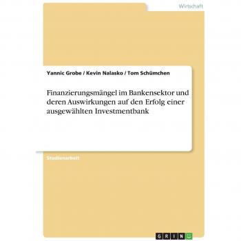 Finanzierungsmängel im Bankensektor und deren Auswirkungen auf den Erfolg einer ausgewählten Investmentbank