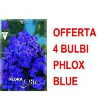 Set 4 Bulbi Phlox Blu – Sconto