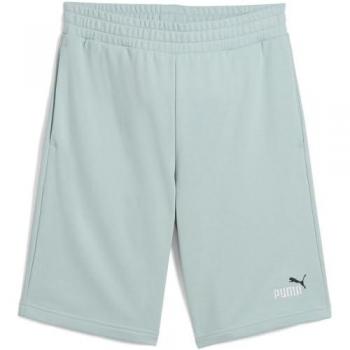 Herren‑Sportshorts Puma ESS 2 Color No. 1 Logo, XS, Grün