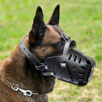 Muselière en cuir pour Doberman