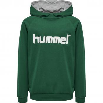 Sweat à capuche Hummel Logo en tissu coton