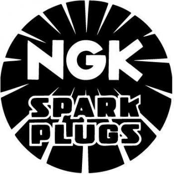 NGK Spark Plug 6607