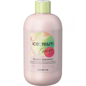 Shampooing Dynamique Inebrya 300 ml