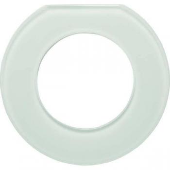 Berker Glas Endrahmen 109219, 1‑fach, polarweiß