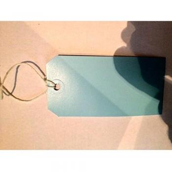 Strung Tags Blue 120x60mm 1000 Pack