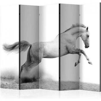 Separatore di Spazio White Gallop II – Arte Spirit 225x172