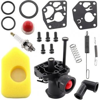 Set carburateur + filtre à air Briggs & Stratton 499809