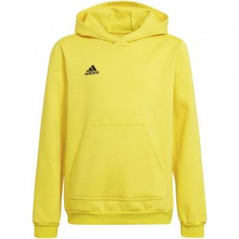 Adidas Felpa Con Cappuccio Junior Entrada 22 HI2142