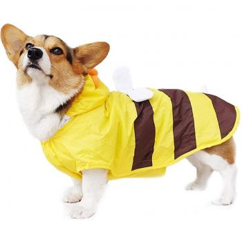 Ropa Ligera “Chihuahua Chill”