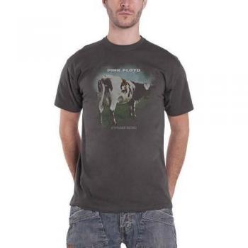 Pink Floyd Erwachsene T-Shirt mit Fade-Effekt