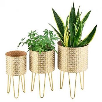 Supports de Plante