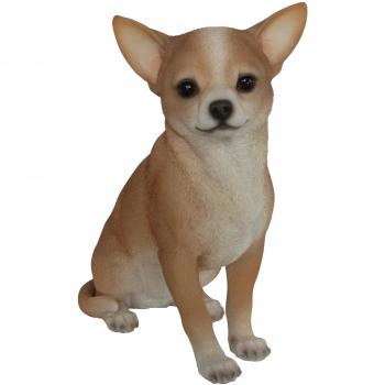 Vivid Chihuahua Sentado 23 cm en Resina
