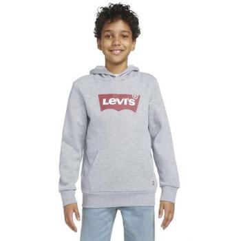 Kapuzensweatshirt LEVI'S KIDS LVB BATWING PULLOVER HOODIE, Jungen, grau