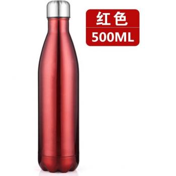 750ml BPA-Free Stainless Steel Sports Water Bottle