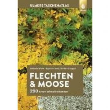 Flechten und Moose: 290 Arten schnell erkennen