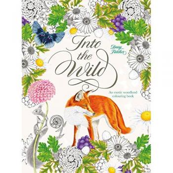 Into the Wild by Illustrated by Daisy Fletcher