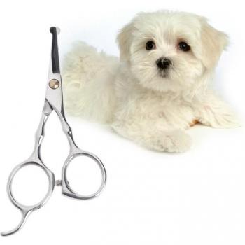 5 Stainless Steel Pet Clippers