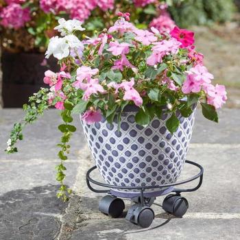 Black 25cm Plant Pot Caddy with Wheels