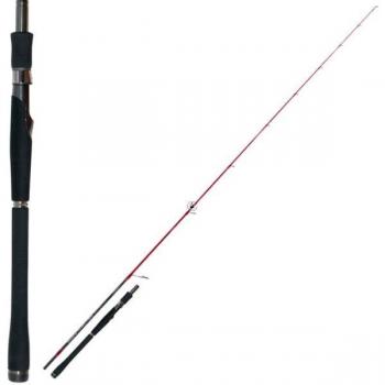 Tenryu Canne Spinning Injection 73 M