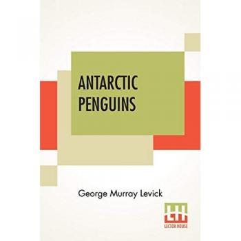 Antarctic Penguins
