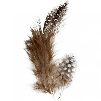 Premium Guinea Fowl Feathers, ~100 Count, 3g Each