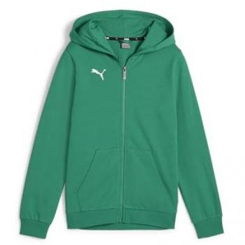 Puma Kinder Kapuzenpullover teamGOAL 152