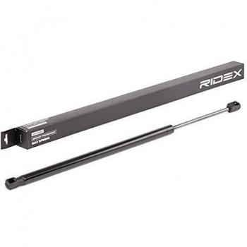 RIDEX 219G0804
