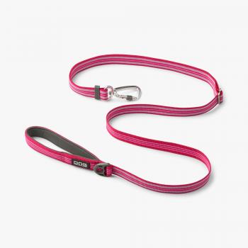 Kobbel City Vild Ros – Dog Copenhagen