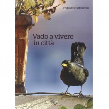 Vado a vivere in città