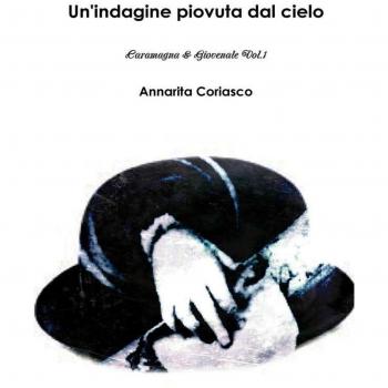 Un'indagine piovuta dal cielo