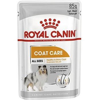 Alimentation Chien Soin du Pelage Mousse Chien Pelage Terne