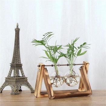 Elegant Hydroponic Bonsai Display Vase