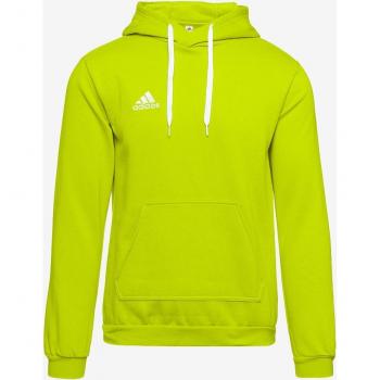 Adidas Felpa Cappuccio UOMO ENTRADA 22 Verde Fluo