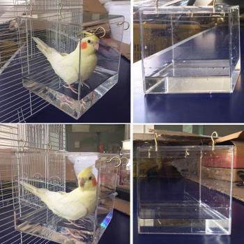 Cage de bain suspendue pour perroquets, luxe, réglable, vue claire
